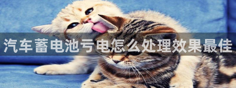 优发国际官网手机版下载安卓