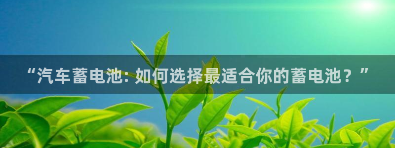 优发国际手机版唯一官网
