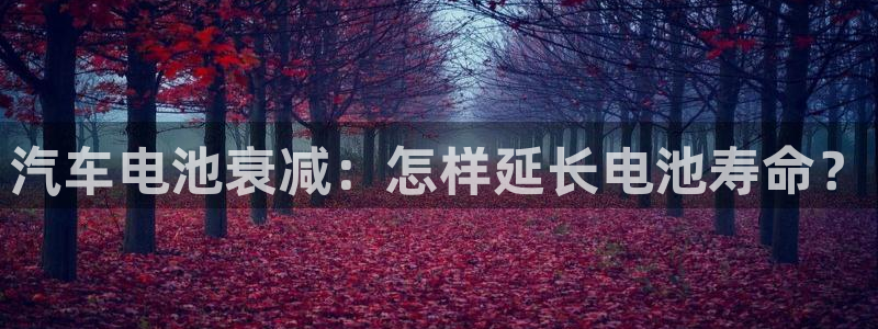优发国际游戏官方网站