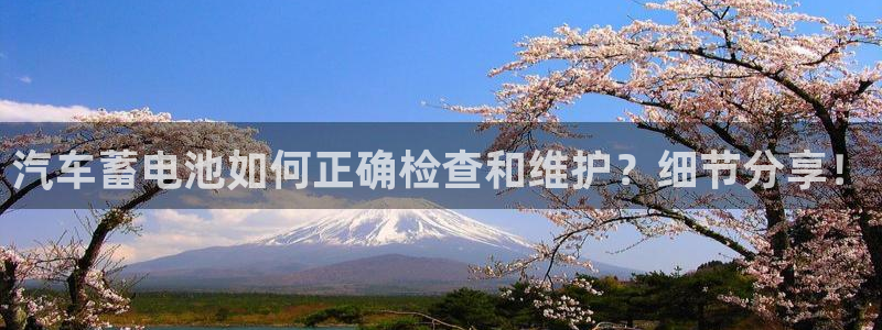 优发国际是大平台吗知乎