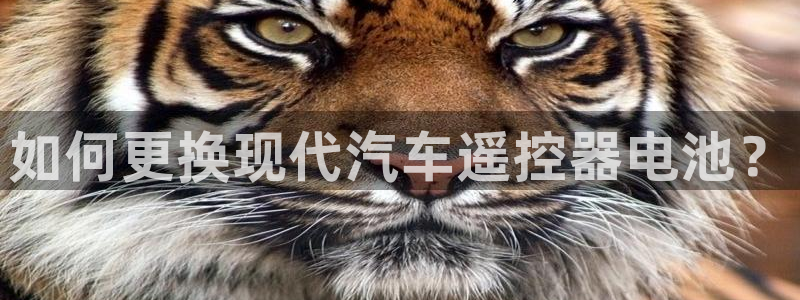优发国际官方网手机版下载安卓