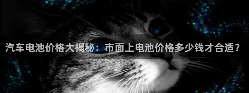 优发国际app官网下载安装手机版