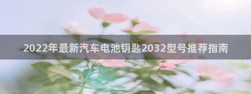 优发国际是合法的吗：2022年最新汽车电池钥匙2032型号推荐指南