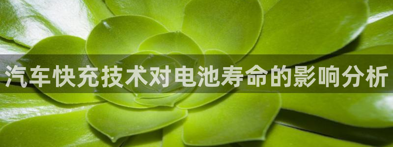 优发国际手机客户端下载