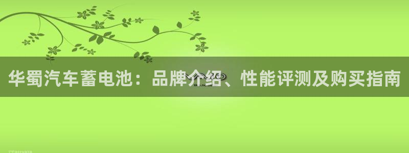 优发国际首页官网：华蜀汽车蓄电池：品牌介绍、性能评测及购买指南