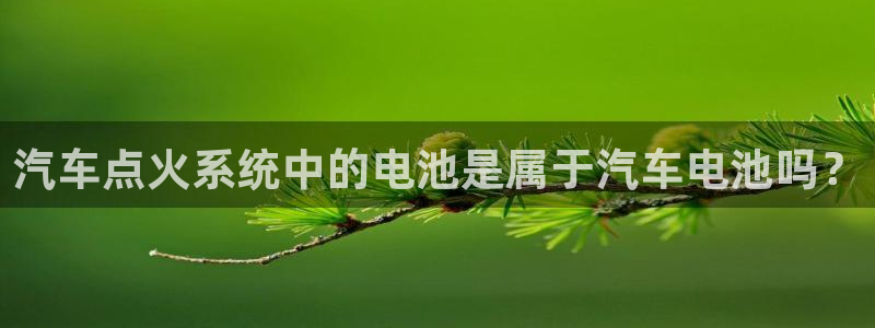 优发国际官网登陆：汽车点火系统中的电池是属于汽车电池吗？