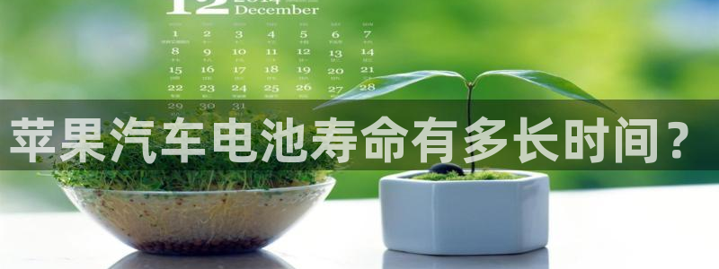 优发国际官方网手机版下载