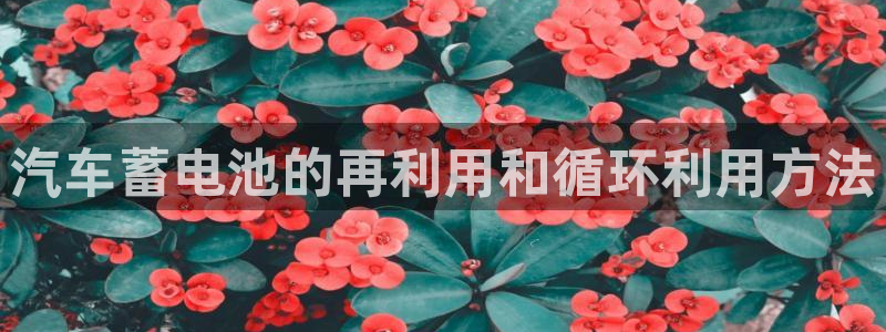 优发国际官网手机版app