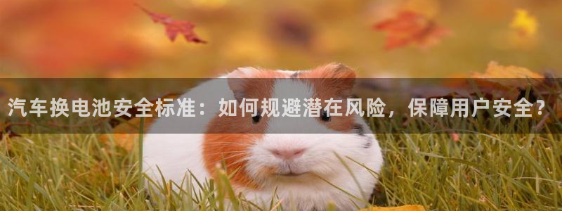 优发国际合并到哪里了啊