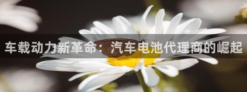 优发国际游戏官方网站入口