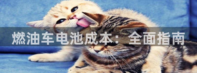 优发国际线上娱官网
