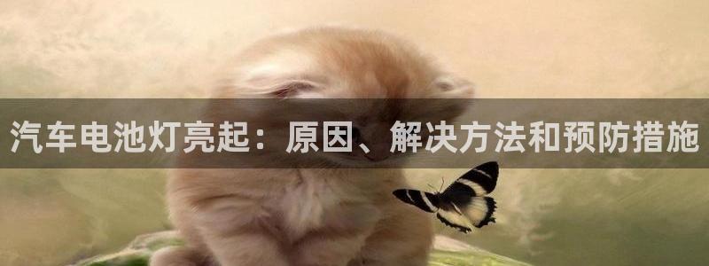 优发国际的官网是正品吗
