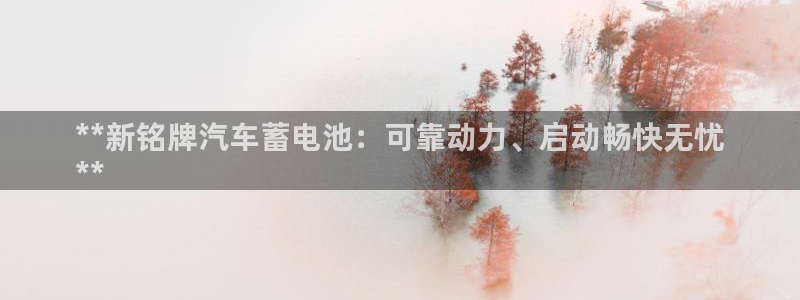 优发国际youfa