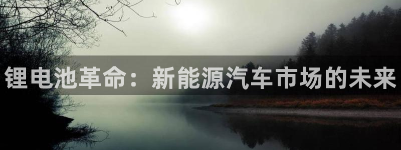 优发国际的官网是什么