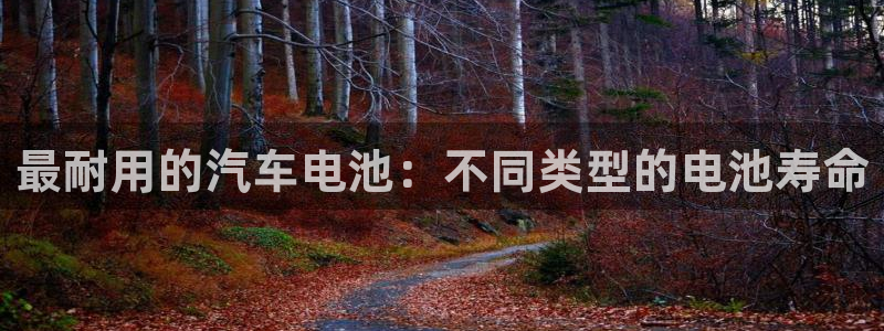 优发国际游戏官网