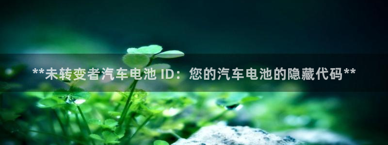 优发国际游戏官网