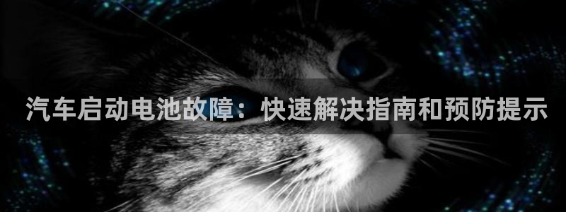 优发国际手机客户端下载不了