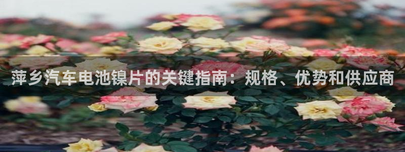 优发国际youfa966