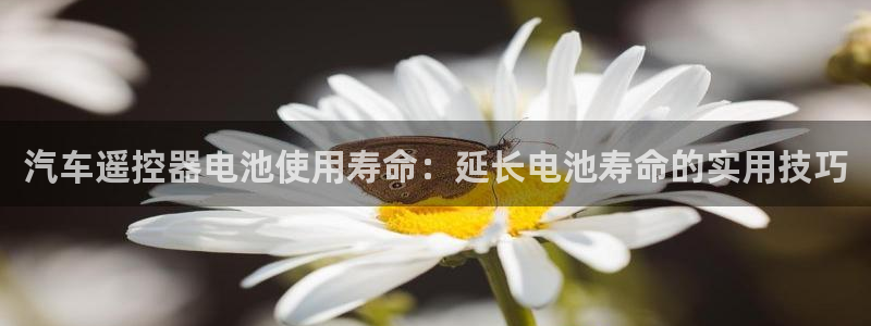 优发国际随优而动一触即发