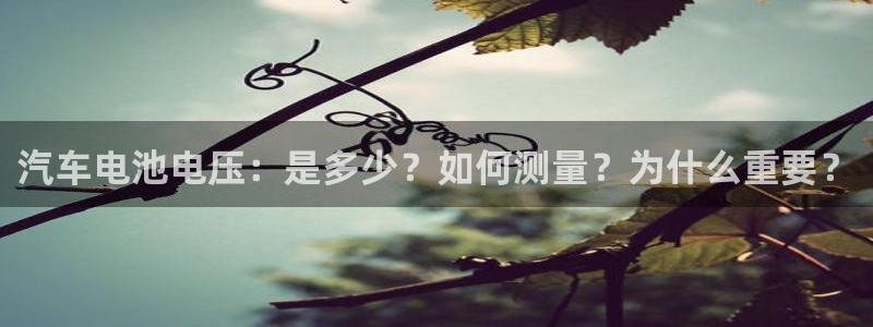 优发国际官网,首页