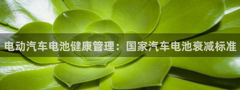 优发国际官网首页
