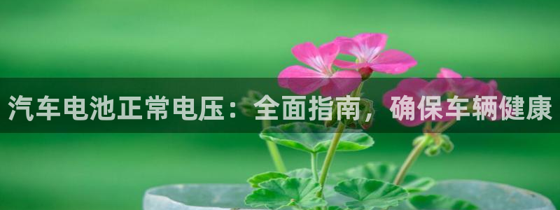 u优发国际首页