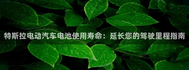 优发国际是大平台吗还是小平