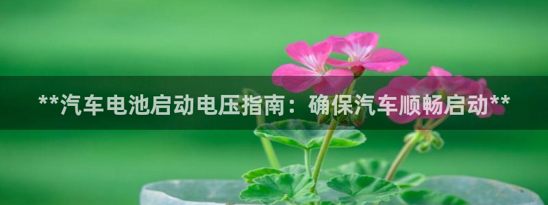 优发国际是大平台吗