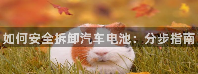 优发国际下载安装