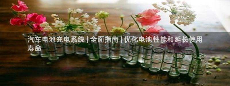 优发国际登陆