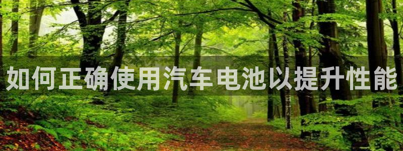 优发国际手机app下载安装最新版