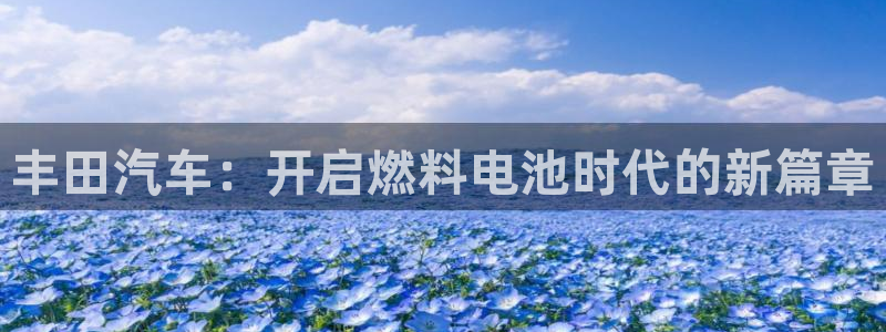 优发国际官网手机版入口