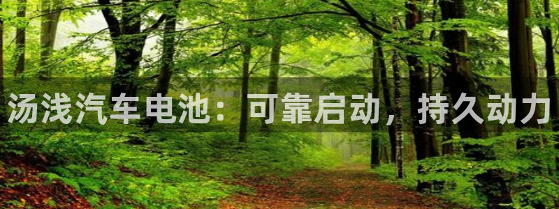 优发国际的官网是