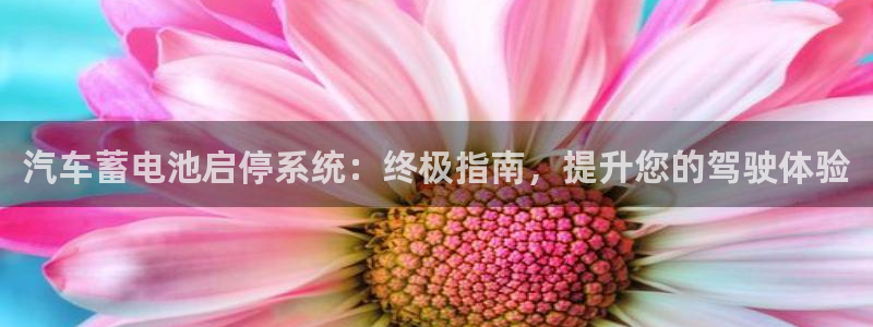 优发国际游戏