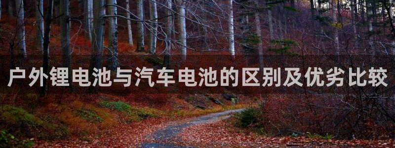 优发国际怎么样