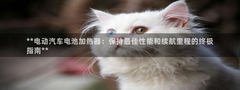 优发国际客服联系方式电话
