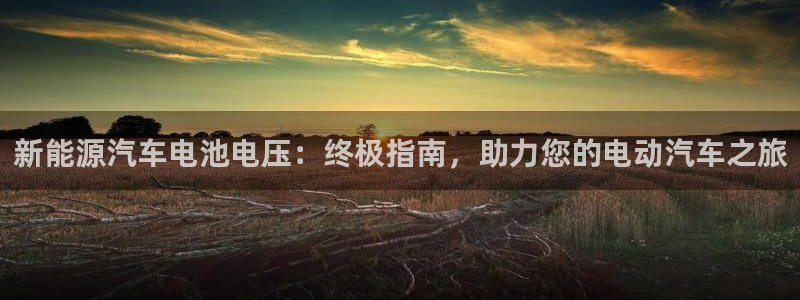 优发国际官网手机版入口