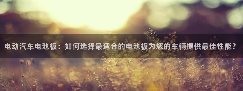 优发国际平台u8是什么公司