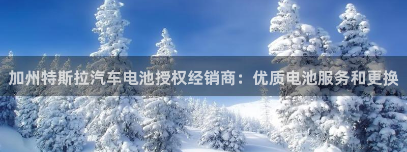 优发国际平台18