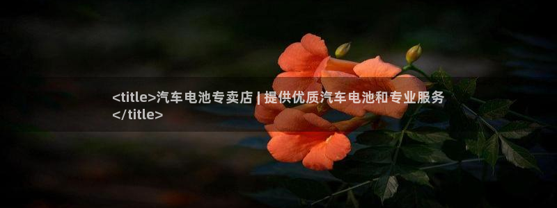 优发国际平台网站：<title>汽车电池专卖店 | 提供优质汽车电池和专业服务
</title>