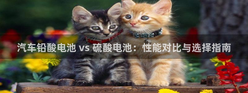 优发国际官方网手机版：汽车铅酸电池 vs 硫酸电池：性能对比与选择指南