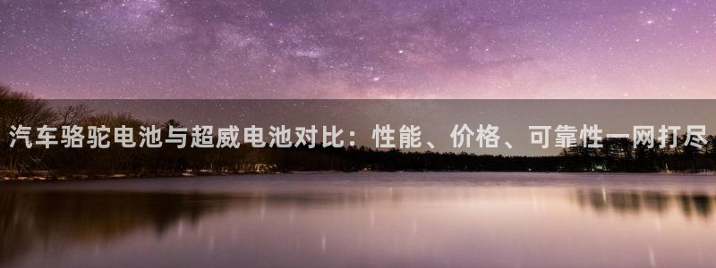 优发国际是什么：汽车骆驼电池与超威电池对比：性能、价格、可靠性一网打尽