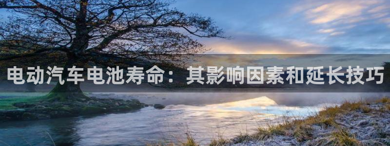 优发国际的网站是：电动汽车电池寿命：其影响因素和延长技巧