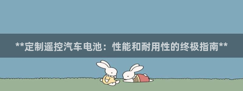 优发国际首页官网：**定制遥控汽车电池：性能和耐用性的终极指南**