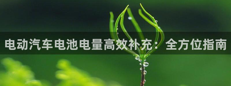 优发国际app：电动汽车电池电量高效补充：全方位指南
