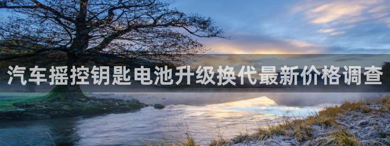 优发国际官网登录：汽车摇控钥匙电池升级换代最新价格调查
