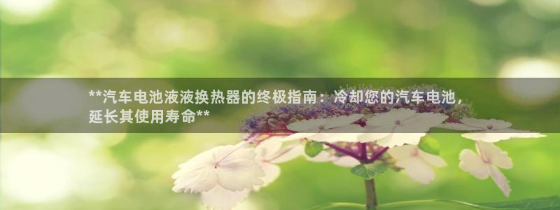 优发国际安卓版下载安装最新版：**汽车电池液液换热器的终极指南：冷却您的汽车电池，
延长其使用寿命**