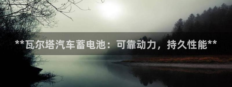 优发国际网官网17o8：**瓦尔塔汽车蓄电池：可靠动力，持久性能**