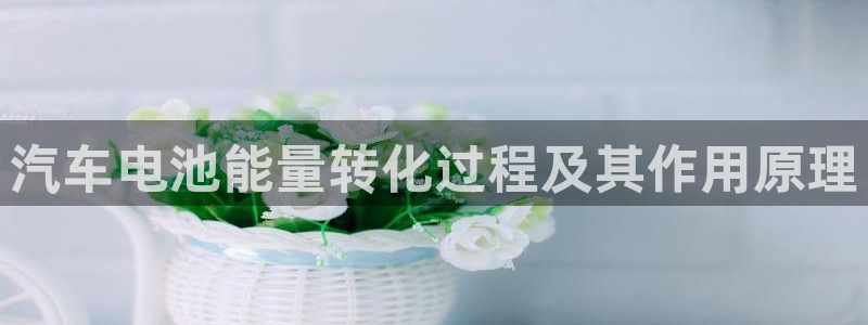优发国际网官