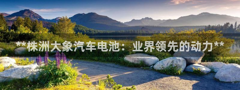优发国际app官网下载安装苹果：**株洲大象汽车电池：业界领先的动力**